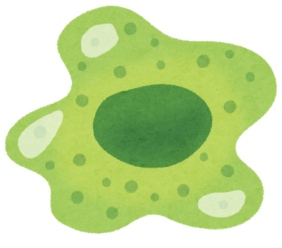 body_cell4_macrophage