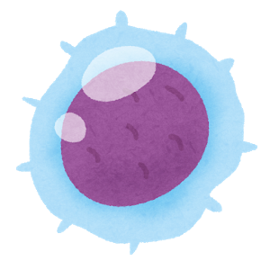body_cell6_rinpa_t