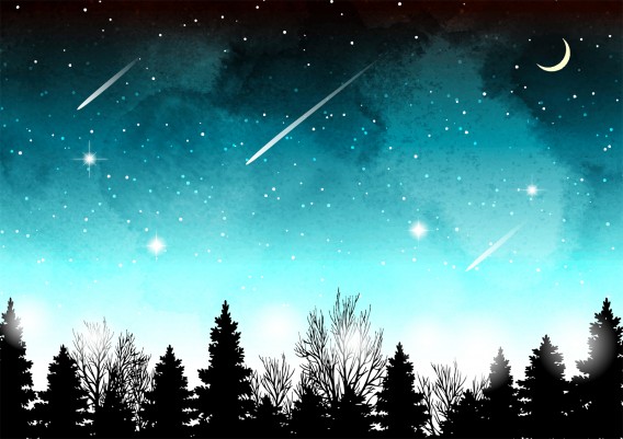 本日で2025年の営業を終了させていただきました。