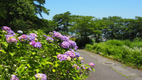 <span class="title">６月3日（水）～7（日）は都合によりお休みさせていただきます。</span>