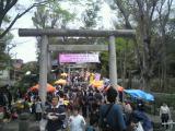 瀧宮神社　ふかや桜まつり